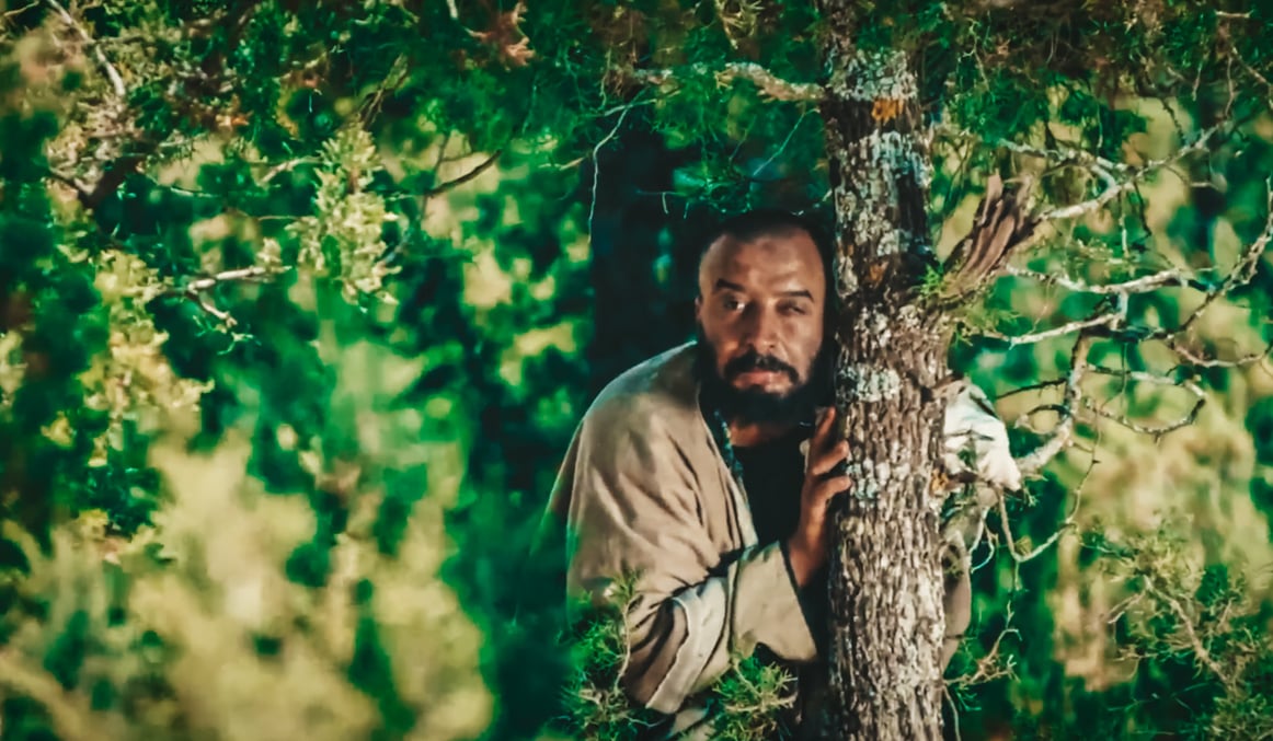 صورة حلقة المحتوى