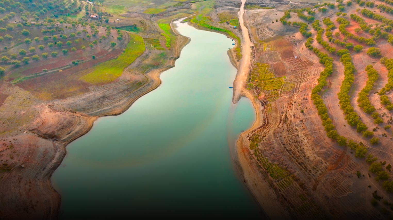 صورة بوستر المحتوى