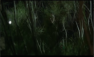 صورة حلقة المحتوى