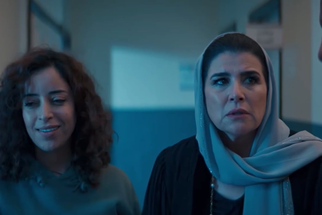 صورة حلقة المحتوى