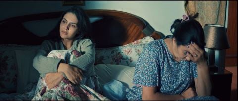 صورة حلقة المحتوى