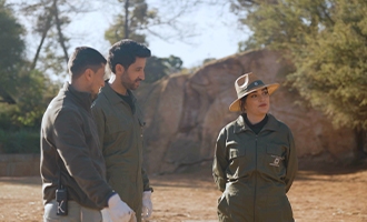 صورة حلقة المحتوى