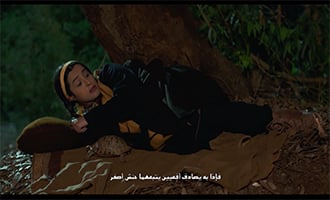 صورة حلقة المحتوى