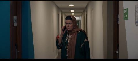 صورة حلقة المحتوى