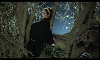 صورة حلقة المحتوى