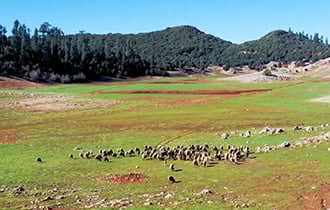 صورة حلقة المحتوى