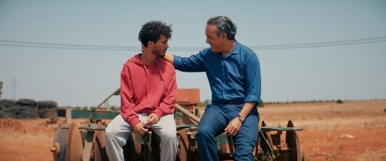 صورة حلقة المحتوى