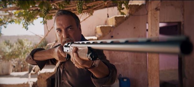 صورة حلقة المحتوى