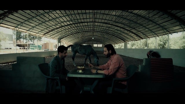 صورة حلقة المحتوى