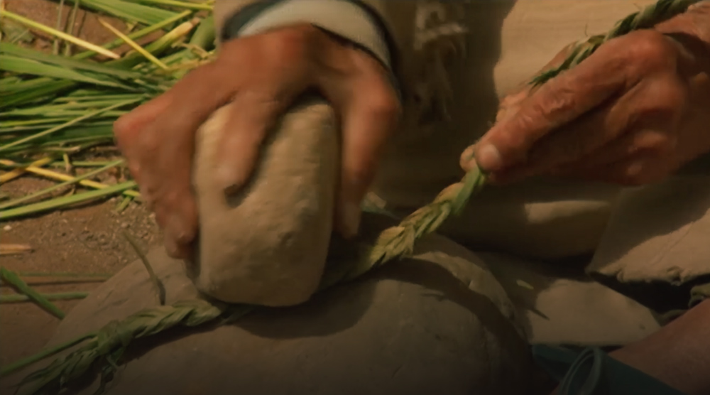 صورة حلقة المحتوى