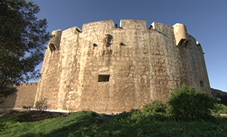 صورة حلقة المحتوى