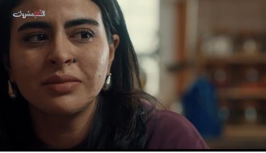 صورة حلقة المحتوى