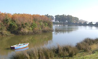 صورة حلقة المحتوى