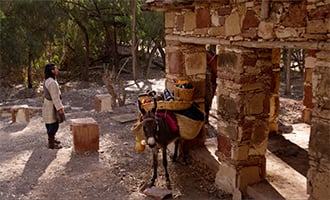 صورة حلقة المحتوى