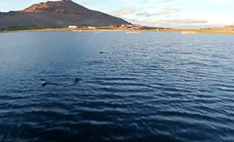 صورة حلقة المحتوى