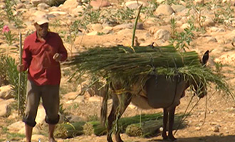 صورة حلقة المحتوى