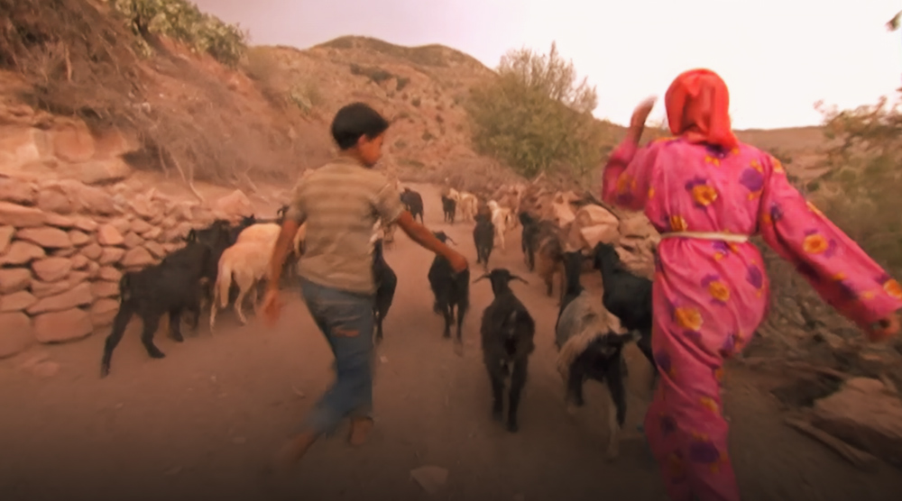 صورة حلقة المحتوى