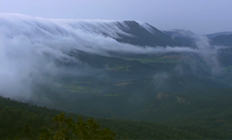 صورة حلقة المحتوى