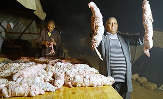 صورة حلقة المحتوى