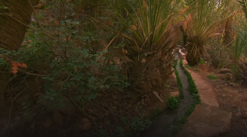 صورة حلقة المحتوى