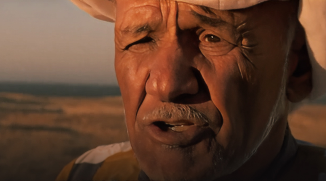 صورة حلقة المحتوى