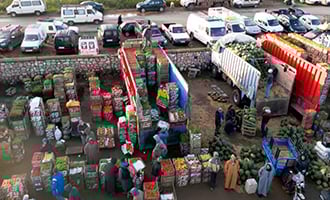 صورة حلقة المحتوى