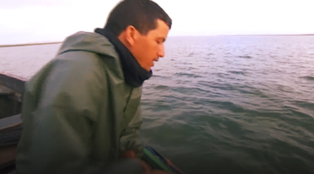 صورة حلقة المحتوى