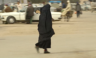 صورة حلقة المحتوى