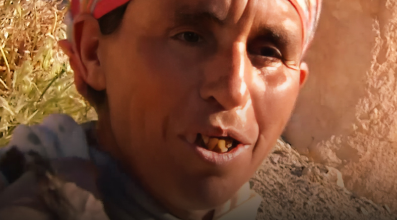 صورة حلقة المحتوى