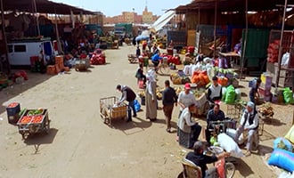 صورة حلقة المحتوى