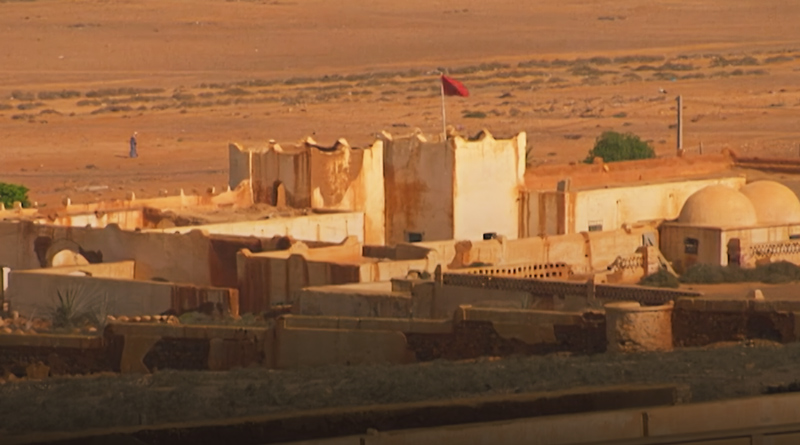 صورة حلقة المحتوى