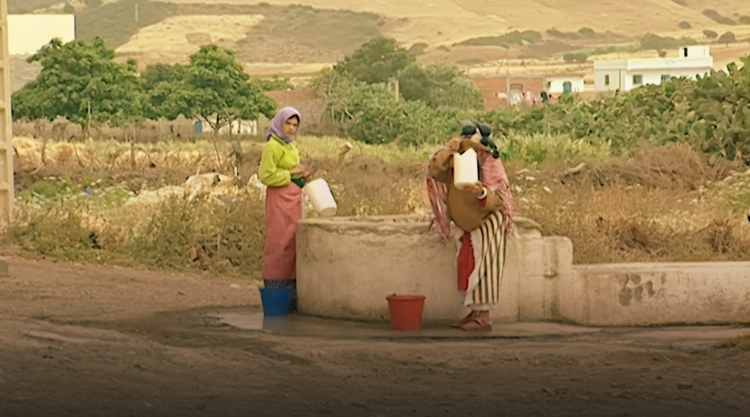 صورة حلقة المحتوى