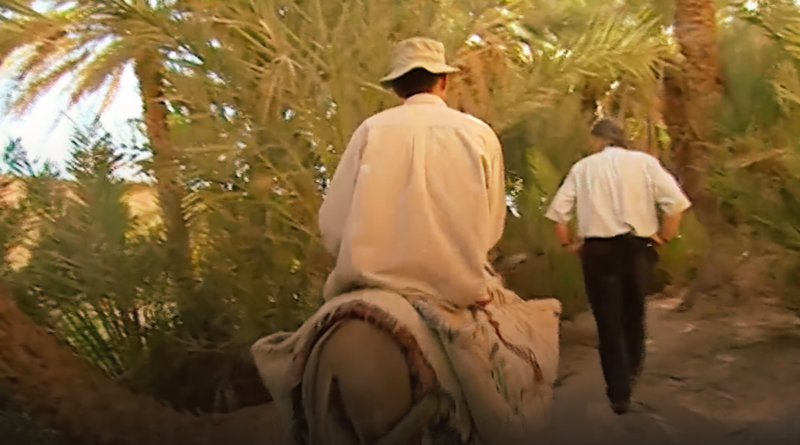 صورة حلقة المحتوى