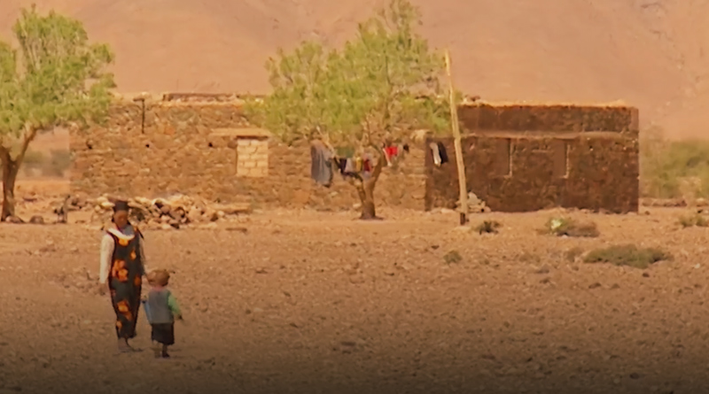 صورة حلقة المحتوى