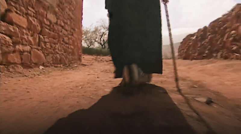 صورة حلقة المحتوى