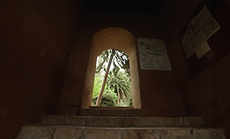 صورة حلقة المحتوى