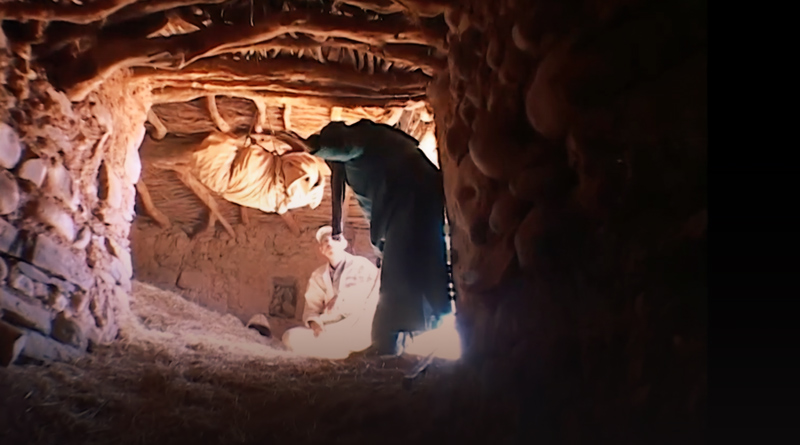 صورة حلقة المحتوى