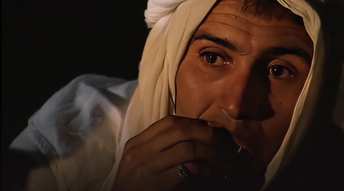 صورة حلقة المحتوى