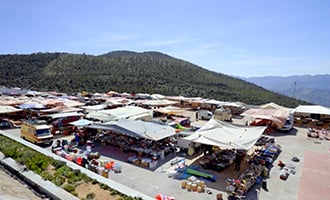 صورة حلقة المحتوى