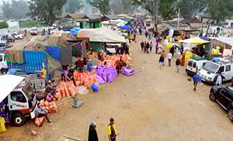 صورة حلقة المحتوى