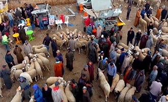 صورة حلقة المحتوى