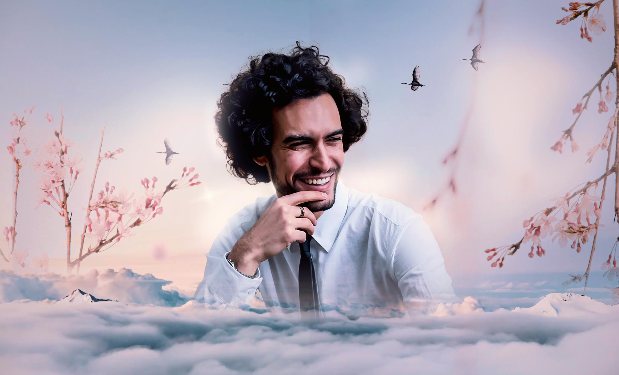 Contenu poster image