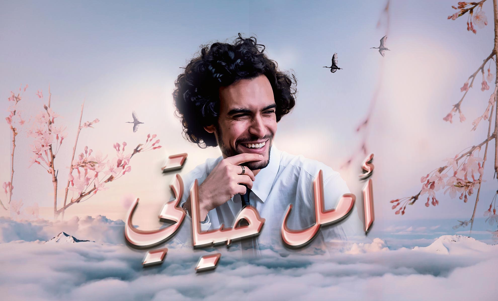 صورة بلاط المحتوى