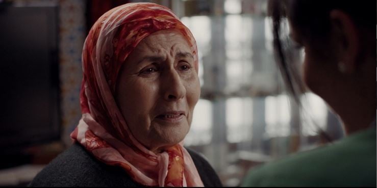 صورة حلقة المحتوى