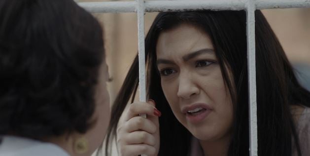 صورة حلقة المحتوى