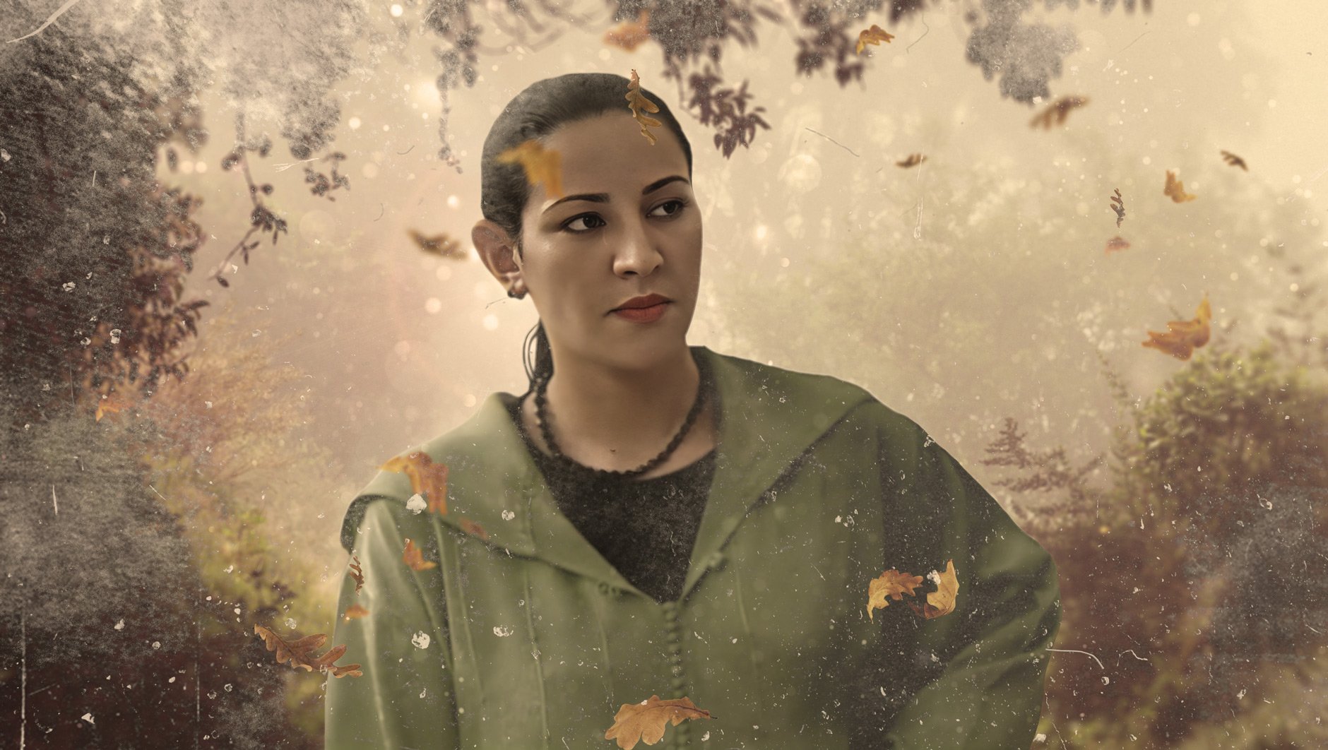 صورة بوستر المحتوى