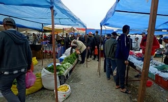 صورة حلقة المحتوى