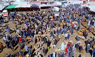 صورة حلقة المحتوى