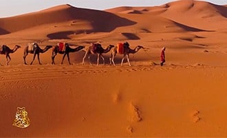 صورة حلقة المحتوى