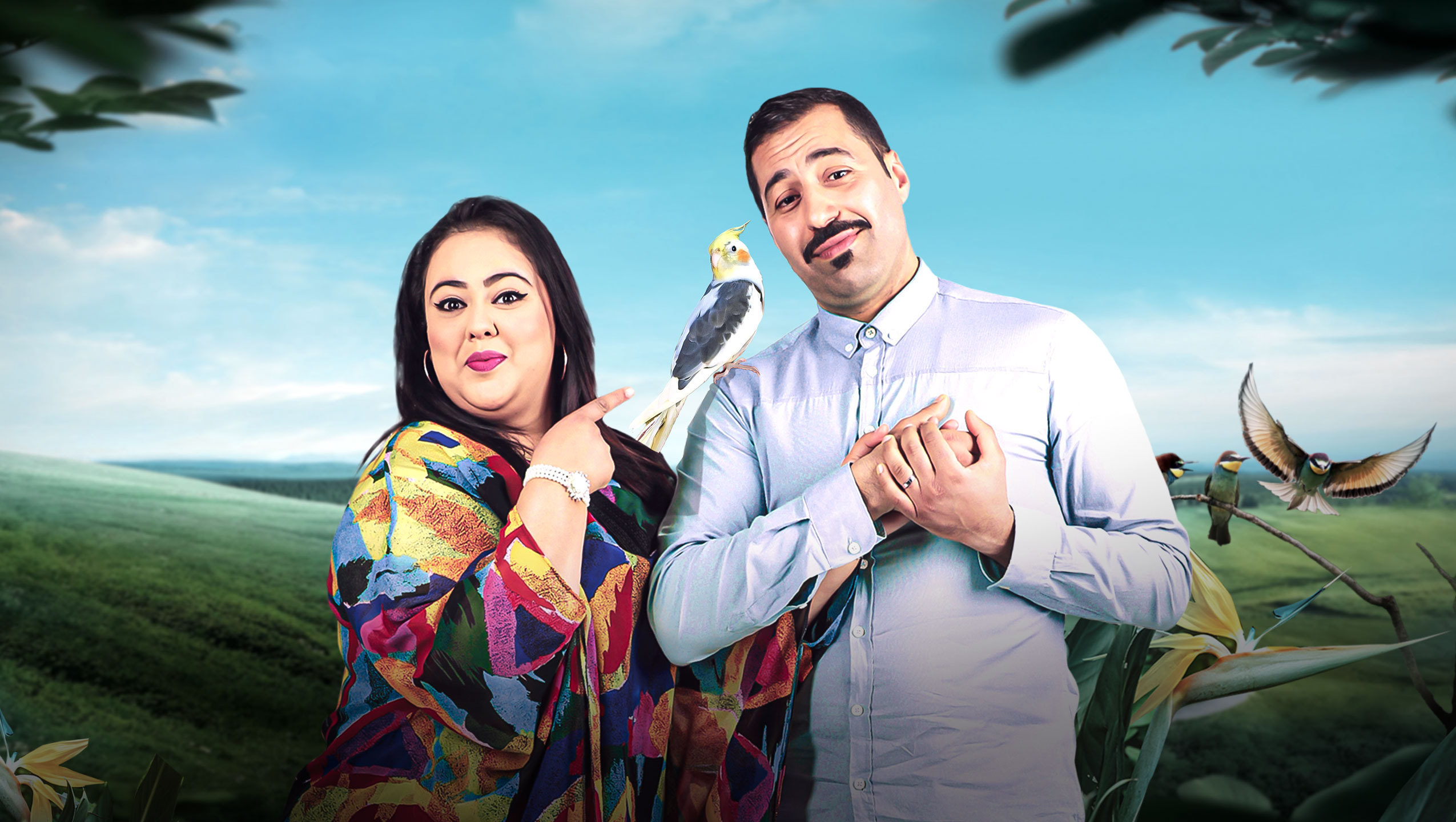 صورة بوستر المحتوى